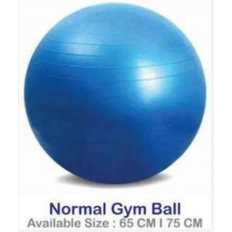 Normal Gym Ball ~ 75CM